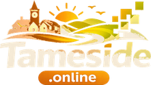 tameside.online