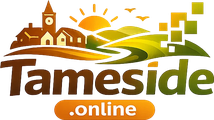 tameside.online